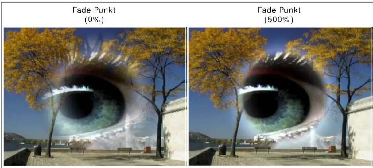 PRODAD Vitascene - Fade Punkt - 1