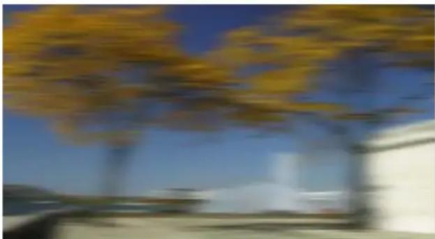 PRODAD Vitascene - Disc Blur - 2
