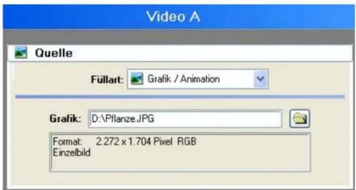 PRODAD Vitascene - Sparkle-Filter auf Bild anwenden (u.a. mit Nutzung von Keyframes) - 4