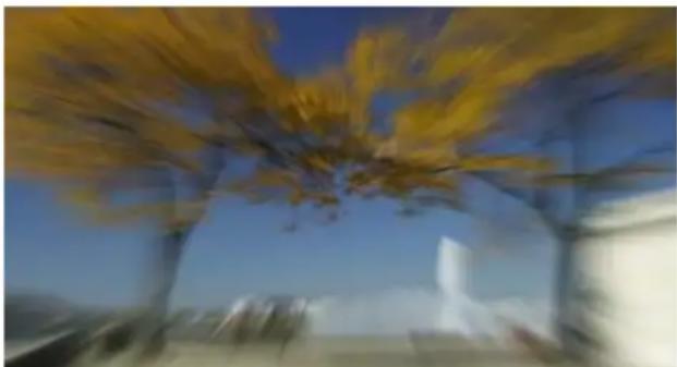 PRODAD Vitascene - Zoom Blur - 1
