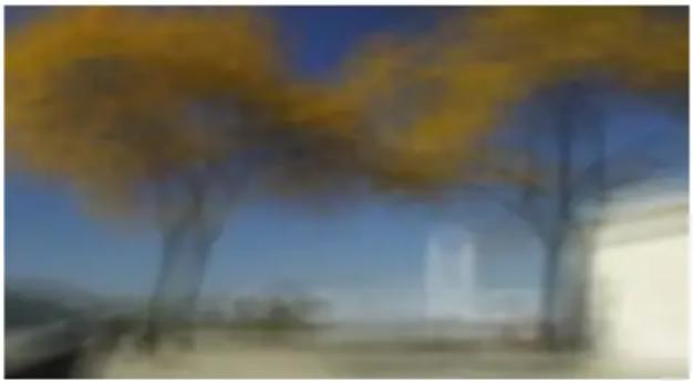 PRODAD Vitascene - Disc Blur - 4