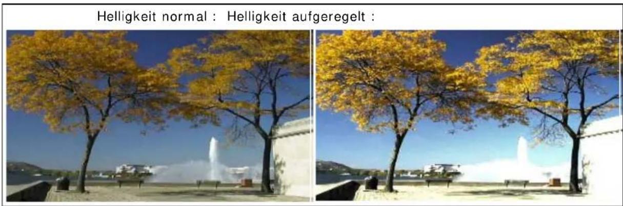 PRODAD Vitascene - Helligkeit - 1
