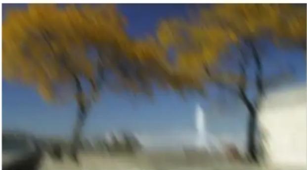 PRODAD Vitascene - Disc Blur - 3