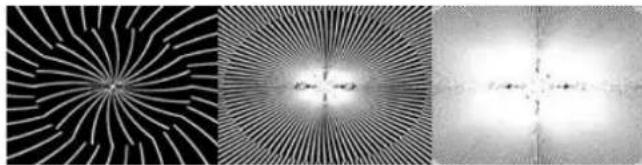 PRODAD Vitascene - Radial A - 1