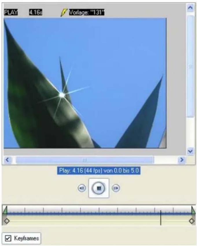 PRODAD Vitascene - Sparkle-Filter auf Bild anwenden (u.a. mit Nutzung von Keyframes) - 10