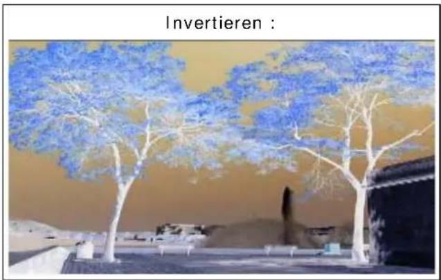 PRODAD Vitascene - Invertieren - 1