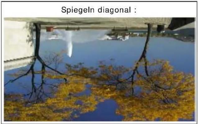 PRODAD Vitascene - Spiegeln - 4