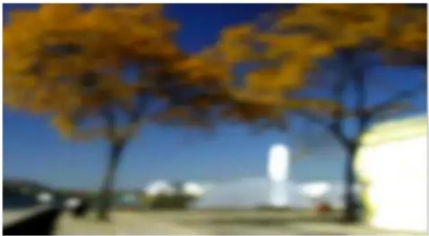 PRODAD Vitascene - Disc Blur - 8