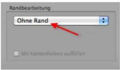 PRODAD Mercalli V2 - Ohne Rand - 1
