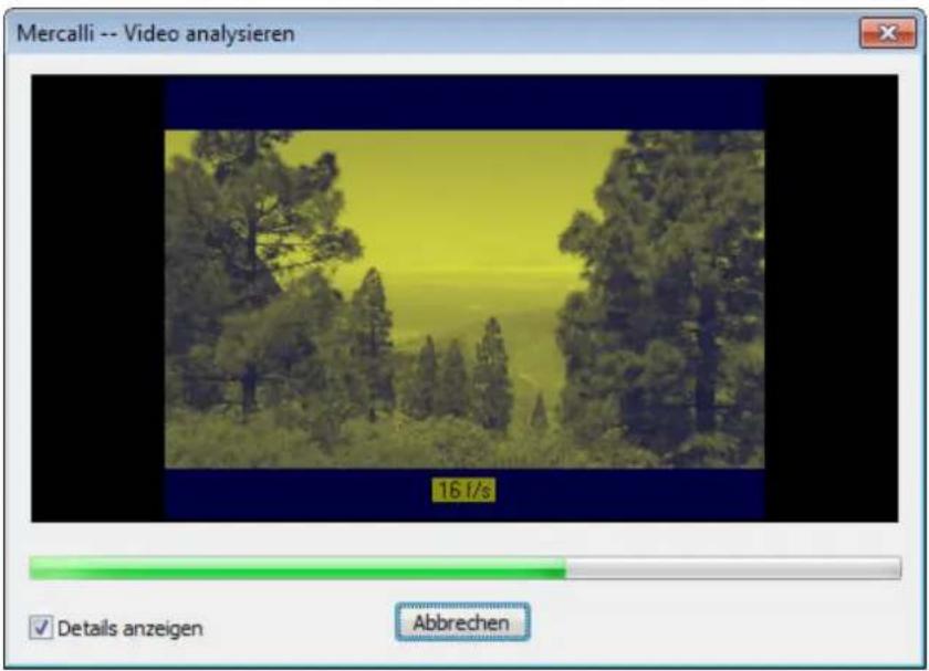 PRODAD Mercalli V2 - Videoanalyse starten - 1