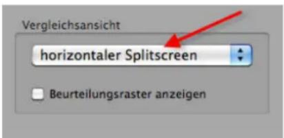 PRODAD Mercalli V2 - horizontaler Splittscreen - 1