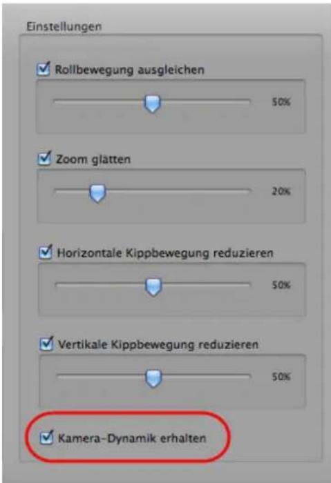 PRODAD Mercalli V2 - Kamera-Dynamik erhalten - 1