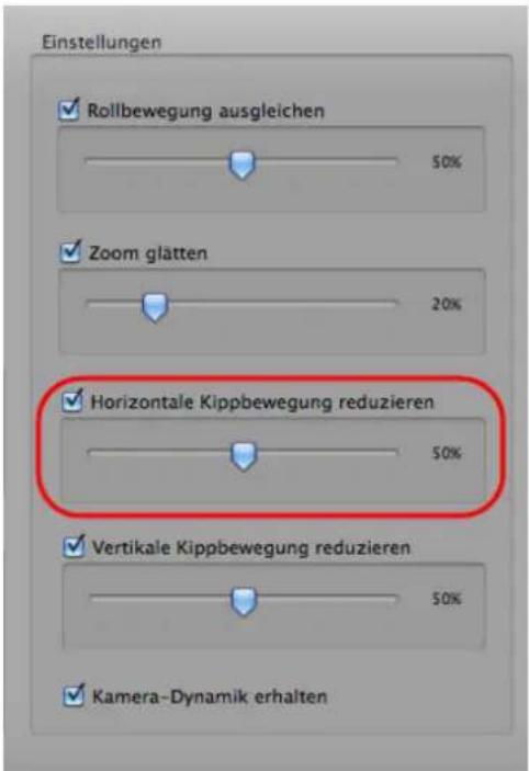 PRODAD Mercalli V2 - Horizontale Kippbewegung reduzieren - 1