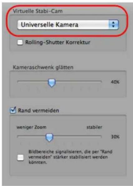 PRODAD Mercalli V2 - Anwendung der virtuellen Stabi-Cam - 1
