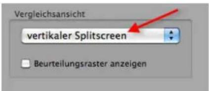 PRODAD Mercalli V2 - horizontaler Splittscreen - 3