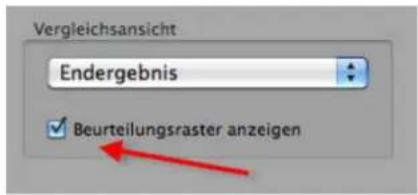 PRODAD Mercalli V2 - Beurteilungsraster anzeigen - 1