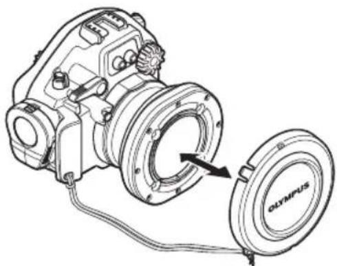 OLYMPUS PT-EP05L - Entfernung - 2