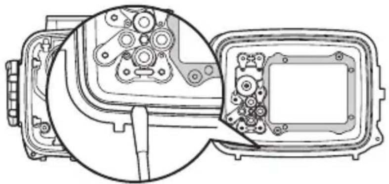 OLYMPUS PT-045 - Reinigen des O-Rings - 2