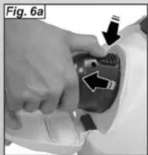 Fig. 6a