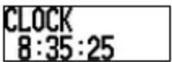 Wintec WPL-1000 - Kapitel 4 Kurzanleitung - 11