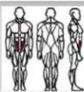 Joy Sport Viper 2 - A 11 Lower Abdominals - 1