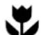 KELVINATOR KSV26CRE - Congratulations Contents - 1
