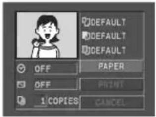 CANON ZR400 - Paper Settings - 1