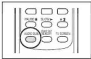 CANON ZR400 - Press the AUDIO DUB. button on the wireless controller. - 1