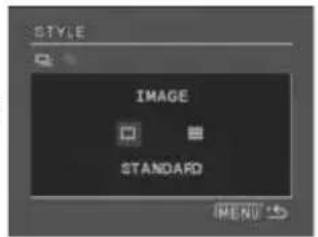 CANON ZR400 - Selecting the Image Style - 2