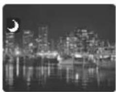 CANON ZR400 - Using the Night Modes - 2