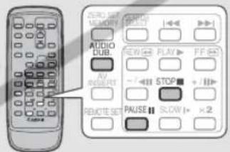 CANON ZR45MC - Dubbing - 3