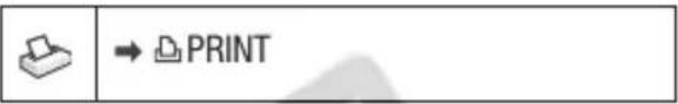 CANON VIXIA HR10 - Printing the Still Images Marked with Print Orders - 1
