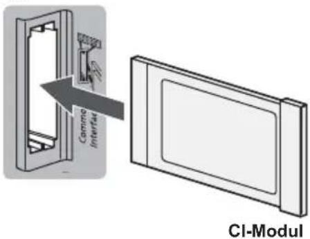 PANASONIC Viera TX-58DXW904 - ■ Common Interface - 1