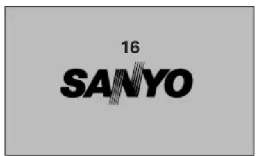 SANYO PLC-XE30 - CAUTION ON HANDLING PIN CODE - 1