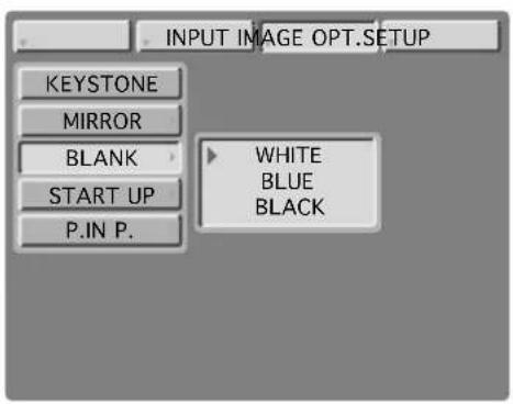 INPUT IMAGE OPT.SETUP KEYSTONE MIRROR BLANK START UP P.IN P. WHITE BLUE BLACK