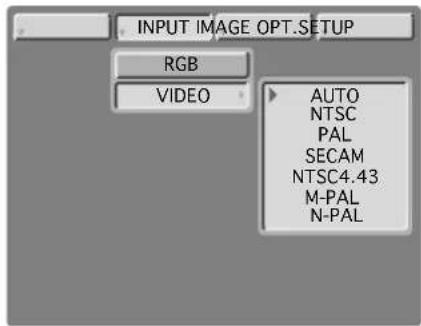 INPUT IMAGE OPT.SETUP RGB VIDEO AUTO NTSC PAL SECAM NTSC4.43 M-PAL N-PAL