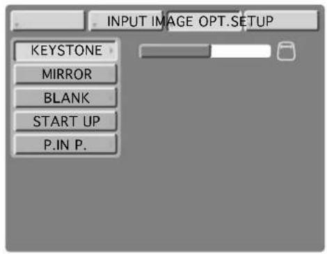 INPUT IMAGE OPT.SETUP KEYSTONE MIRROR BLANK START UP P.IN P.
