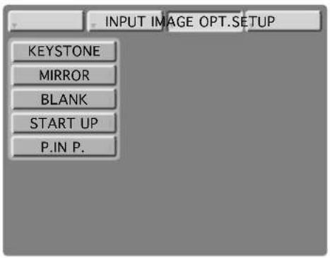 INPUT IMAGE OPT.SETUP KEYSTONE MIRROR BLANK START UP P.IN P.
