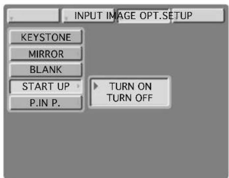 INPUT IMAGE OPT.SETUP KEYSTONE MIRROR BLANK START UP P.IN P. TURN ON TURN OFF