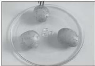 PANASONIC NN-SD466 - Before Cooking - 1