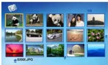 Grid of 16 nature and tourism photos including pandas, cars, landscapes, and a castle (no text or symbols)