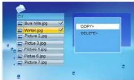 C:\Bule hills.jpg Winter.jpg Picture 2.jpg Picture 3.jpg Picture 5.jpg Picture 6.jpg Picture 7.jpg COPY> DELETE-