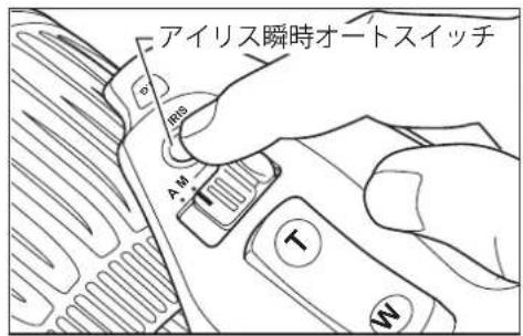 アイリス瞬時オートスイッチ RGS A.M. T W