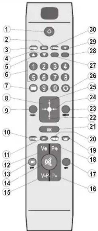 SEG 32912 - Remote Control - 1
