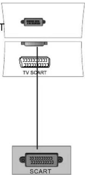 Wharfedale L15T11W-C - SCART Input - 1