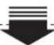 Elis & Elsa CBD6600V - Jording - 3