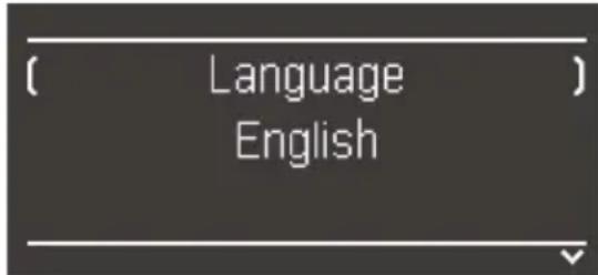 ( Language ) English