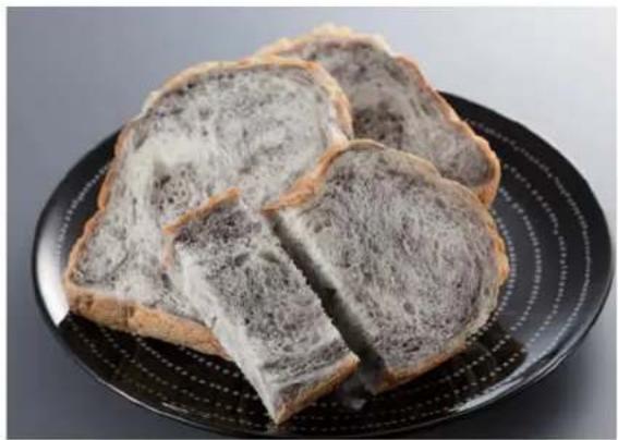 PANASONIC SD-PT1001 - Various flavored bread - 2