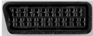 XORO HTC 1346 - SCART (nur HTL 1346) - 1