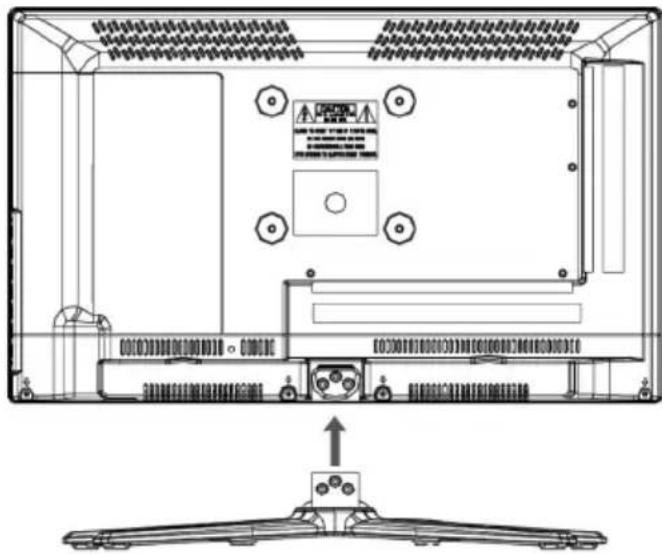 XORO HTL 1346 - Standfuss - 1